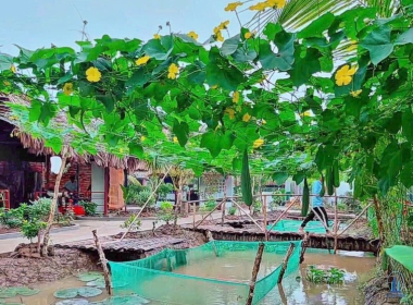 Công trình khu du lịch sinh thái