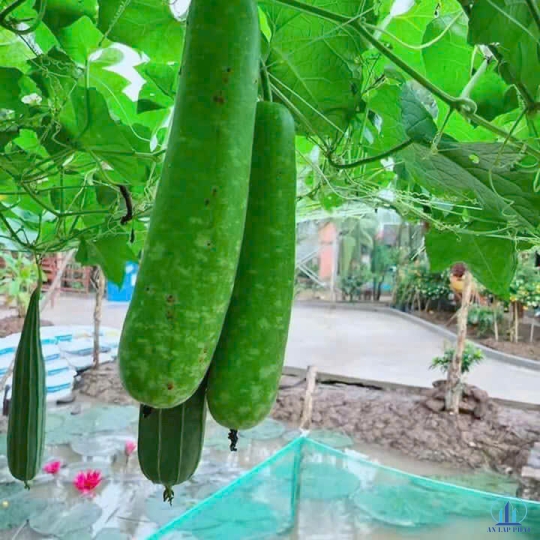 Công trình khu du lịch sinh thái