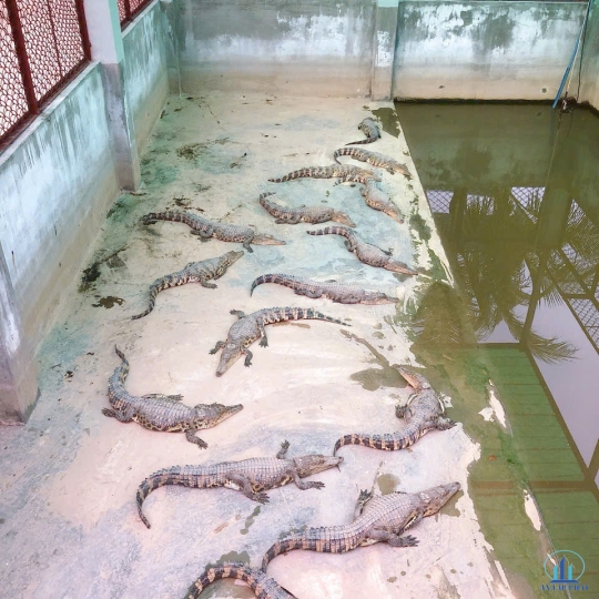 Công trình khu du lịch sinh thái